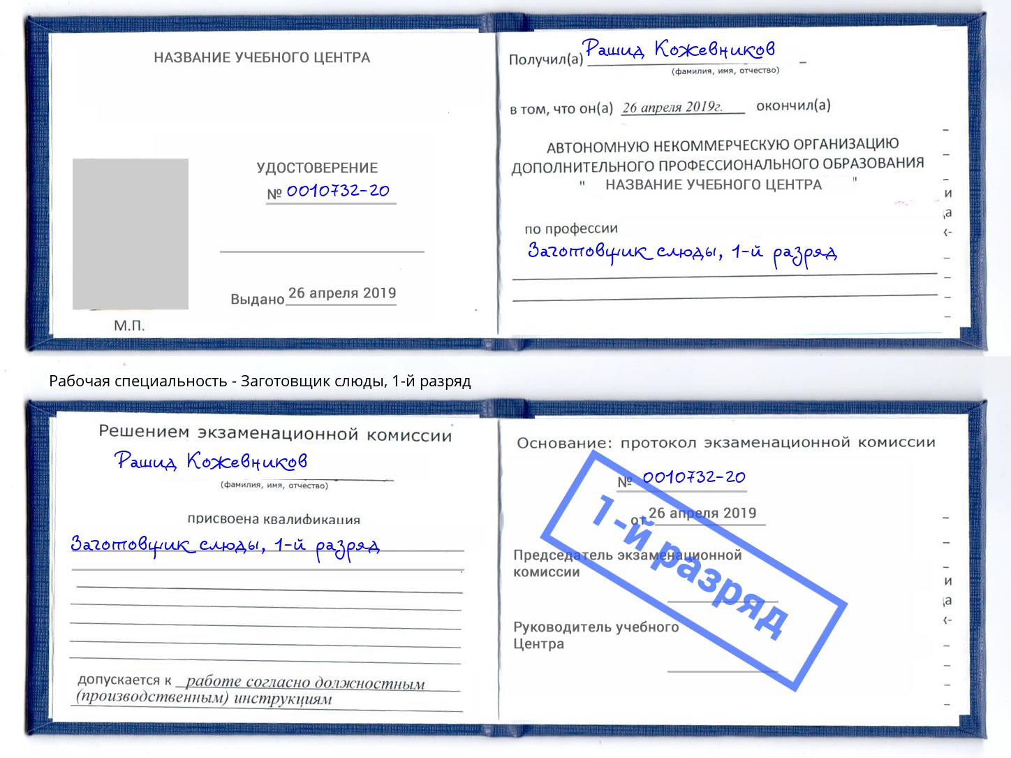 корочка 1-й разряд Заготовщик слюды Бузулук